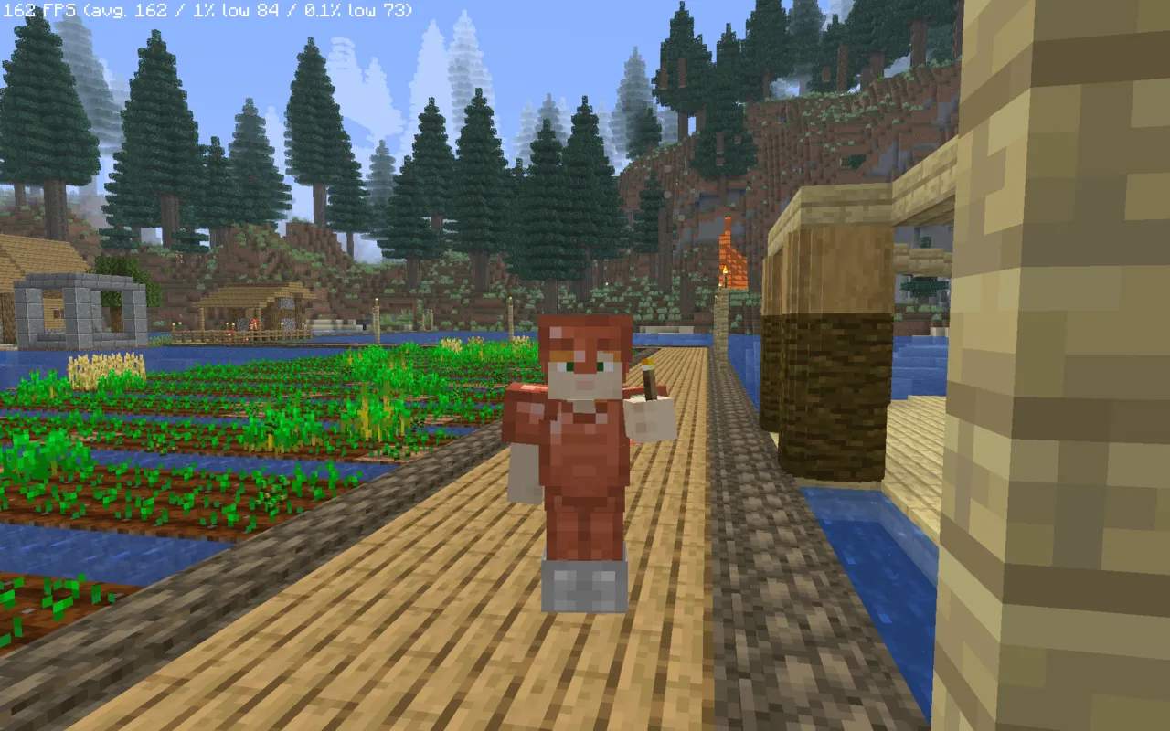 screenshot minecraft server 3