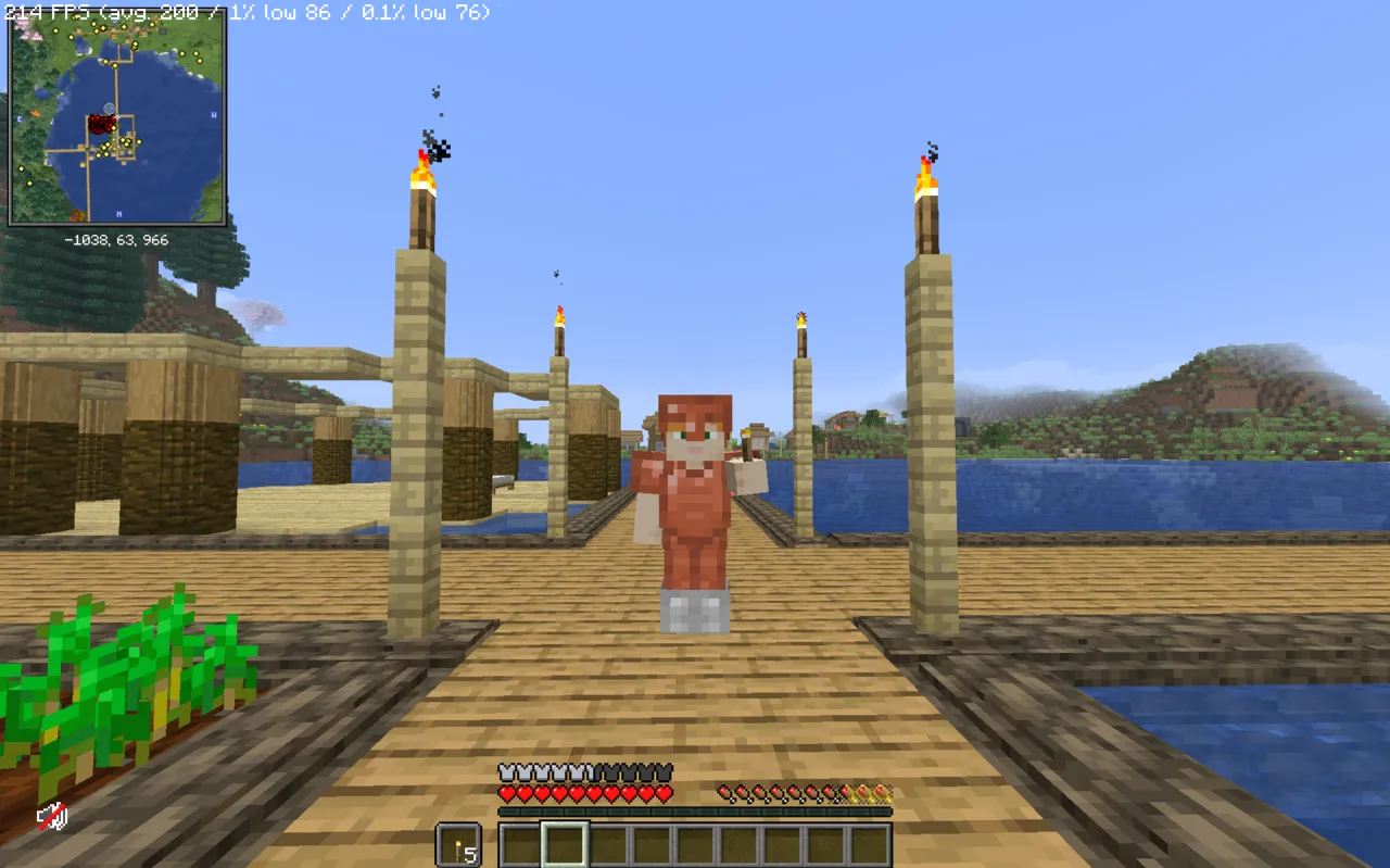 screenshot minecraft server 4